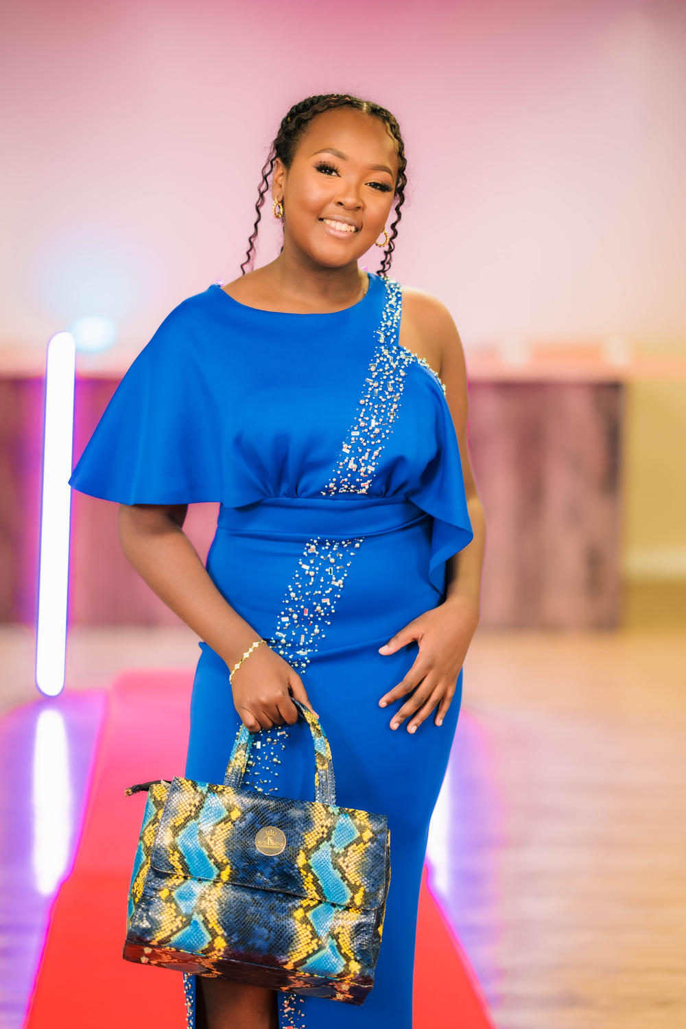 RONEL COLLECTION SACS